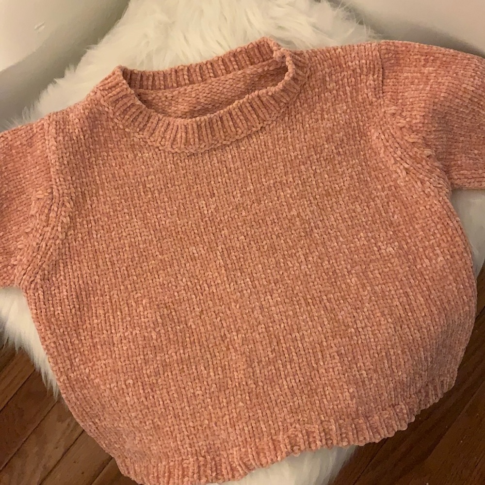 Short sleeve crop top sweater
